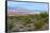 USA, Nevada, Mesquite. Gold Butte National Monument, Million Hills from Gold Butte Road-Bernard Friel-Framed Stretched Canvas