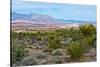 USA, Nevada, Mesquite. Gold Butte National Monument, Million Hills from Gold Butte Road-Bernard Friel-Stretched Canvas