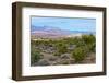 USA, Nevada, Mesquite. Gold Butte National Monument, Million Hills from Gold Butte Road-Bernard Friel-Framed Photographic Print