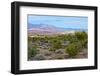 USA, Nevada, Mesquite. Gold Butte National Monument, Million Hills from Gold Butte Road-Bernard Friel-Framed Photographic Print