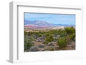 USA, Nevada, Mesquite. Gold Butte National Monument, Million Hills from Gold Butte Road-Bernard Friel-Framed Photographic Print