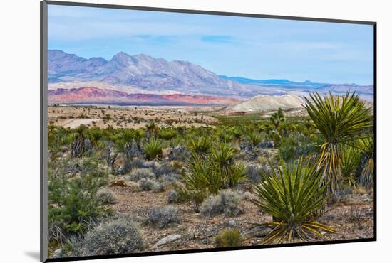 USA, Nevada, Mesquite. Gold Butte National Monument, Million Hills from Gold Butte Road-Bernard Friel-Mounted Photographic Print