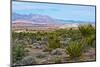 USA, Nevada, Mesquite. Gold Butte National Monument, Million Hills from Gold Butte Road-Bernard Friel-Mounted Photographic Print