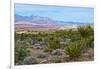 USA, Nevada, Mesquite. Gold Butte National Monument, Million Hills from Gold Butte Road-Bernard Friel-Framed Photographic Print