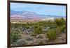 USA, Nevada, Mesquite. Gold Butte National Monument, Million Hills from Gold Butte Road-Bernard Friel-Framed Photographic Print