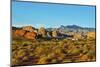 USA, Nevada, Mesquite. Gold Butte National Monument, Mud Road vista-Bernard Friel-Mounted Photographic Print