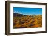 USA, Nevada, Mesquite. Gold Butte National Monument, Mud Road vista-Bernard Friel-Framed Photographic Print