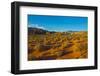 USA, Nevada, Mesquite. Gold Butte National Monument, Mud Road vista-Bernard Friel-Framed Photographic Print