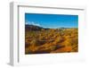 USA, Nevada, Mesquite. Gold Butte National Monument, Mud Road vista-Bernard Friel-Framed Photographic Print