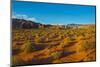 USA, Nevada, Mesquite. Gold Butte National Monument, Mud Road vista-Bernard Friel-Mounted Photographic Print