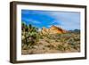 USA, Nevada, Mesquite. Gold Butte National Monument, Whitney Pocket-Bernard Friel-Framed Photographic Print