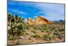 USA, Nevada, Mesquite. Gold Butte National Monument, Whitney Pocket-Bernard Friel-Mounted Photographic Print