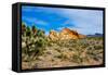 USA, Nevada, Mesquite. Gold Butte National Monument, Whitney Pocket-Bernard Friel-Framed Stretched Canvas