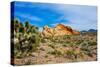 USA, Nevada, Mesquite. Gold Butte National Monument, Whitney Pocket-Bernard Friel-Stretched Canvas