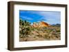 USA, Nevada, Mesquite. Gold Butte National Monument, Whitney Pocket-Bernard Friel-Framed Photographic Print