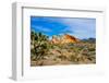 USA, Nevada, Mesquite. Gold Butte National Monument, Whitney Pocket-Bernard Friel-Framed Photographic Print