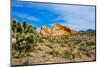 USA, Nevada, Mesquite. Gold Butte National Monument, Whitney Pocket-Bernard Friel-Mounted Photographic Print