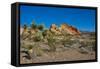 USA, Nevada, Mesquite. Gold Butte National Monument, Whitney Pocket-Bernard Friel-Framed Stretched Canvas