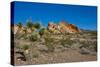 USA, Nevada, Mesquite. Gold Butte National Monument, Whitney Pocket-Bernard Friel-Stretched Canvas