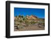 USA, Nevada, Mesquite. Gold Butte National Monument, Whitney Pocket-Bernard Friel-Framed Photographic Print