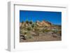 USA, Nevada, Mesquite. Gold Butte National Monument, Whitney Pocket-Bernard Friel-Framed Photographic Print