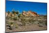 USA, Nevada, Mesquite. Gold Butte National Monument, Whitney Pocket-Bernard Friel-Mounted Photographic Print