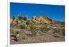 USA, Nevada, Mesquite. Gold Butte National Monument, Whitney Pocket-Bernard Friel-Framed Photographic Print