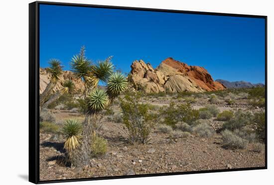 USA, Nevada, Mesquite. Gold Butte National Monument, Whitney Pocket-Bernard Friel-Framed Stretched Canvas