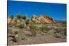 USA, Nevada, Mesquite. Gold Butte National Monument, Whitney Pocket-Bernard Friel-Stretched Canvas