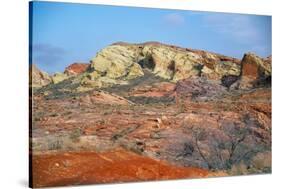 USA, Nevada, Overton, Valley of Fire SP, Rainbow Vista sandstone.-Bernard Friel-Stretched Canvas