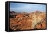 USA, Nevada, Overton, Valley of Fire SP, Rainbow Vista sandstone.-Bernard Friel-Framed Stretched Canvas