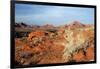 USA, Nevada, Overton, Valley of Fire SP, Rainbow Vista sandstone.-Bernard Friel-Framed Photographic Print