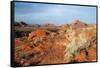 USA, Nevada, Overton, Valley of Fire SP, Rainbow Vista sandstone.-Bernard Friel-Framed Stretched Canvas