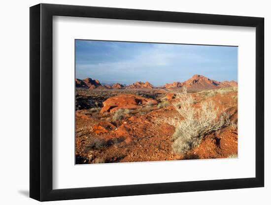 USA, Nevada, Overton, Valley of Fire SP, Rainbow Vista sandstone.-Bernard Friel-Framed Photographic Print