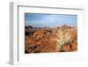 USA, Nevada, Overton, Valley of Fire SP, Rainbow Vista sandstone.-Bernard Friel-Framed Photographic Print