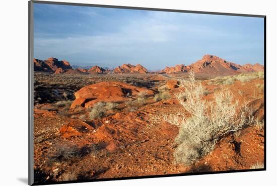 USA, Nevada, Overton, Valley of Fire SP, Rainbow Vista sandstone.-Bernard Friel-Mounted Photographic Print