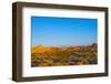 USA, Nevada. Overton, Valley of Fire State Park, First Nevada Park, Fire Canyon Silica Dome-Bernard Friel-Framed Photographic Print