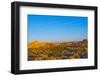 USA, Nevada. Overton, Valley of Fire State Park, First Nevada Park, Fire Canyon Silica Dome-Bernard Friel-Framed Photographic Print