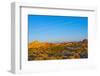 USA, Nevada. Overton, Valley of Fire State Park, First Nevada Park, Fire Canyon Silica Dome-Bernard Friel-Framed Photographic Print