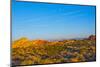 USA, Nevada. Overton, Valley of Fire State Park, First Nevada Park, Fire Canyon Silica Dome-Bernard Friel-Mounted Photographic Print