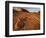 USA, Nevada, Overton, Valley of Fire State Park. Multi-colored rock formation.-Jaynes Gallery-Framed Photographic Print