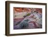 USA, Nevada, Overton, Valley of Fire State Park. Multi-colored rock formations.-Jaynes Gallery-Framed Photographic Print