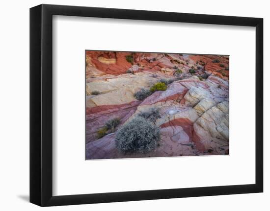 USA, Nevada, Overton, Valley of Fire State Park. Multi-colored rock formations.-Jaynes Gallery-Framed Photographic Print