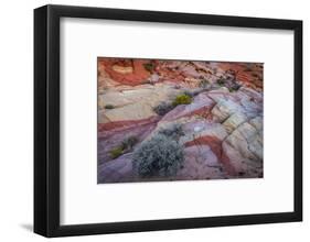 USA, Nevada, Overton, Valley of Fire State Park. Multi-colored rock formations.-Jaynes Gallery-Framed Photographic Print