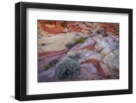 USA, Nevada, Overton, Valley of Fire State Park. Multi-colored rock formations.-Jaynes Gallery-Framed Photographic Print