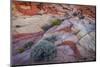 USA, Nevada, Overton, Valley of Fire State Park. Multi-colored rock formations.-Jaynes Gallery-Mounted Photographic Print