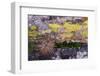 USA, Nevada. Small cactus in Gold Butte National Monument-Judith Zimmerman-Framed Photographic Print