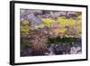 USA, Nevada. Small cactus in Gold Butte National Monument-Judith Zimmerman-Framed Photographic Print