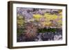 USA, Nevada. Small cactus in Gold Butte National Monument-Judith Zimmerman-Framed Photographic Print