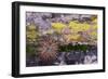 USA, Nevada. Small cactus in Gold Butte National Monument-Judith Zimmerman-Framed Photographic Print